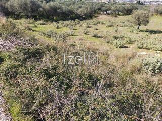 Οικόπεδο 13.000 τ.μ. για πώληση, Αχαΐα, Μεσσατίδα-thumb-14
