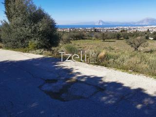 Οικόπεδο 13.000 τ.μ. για πώληση, Αχαΐα, Μεσσατίδα-thumb-15