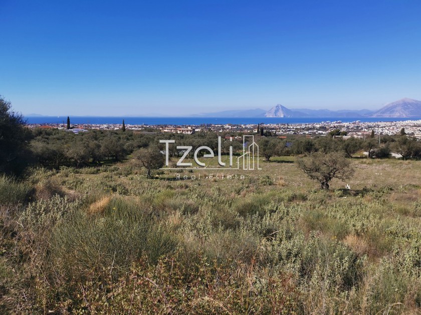 Land plot 24.000sqm for sale-Messatida » Ligies