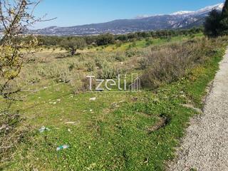Οικόπεδο 24.000 τ.μ. για πώληση, Αχαΐα, Μεσσατίδα-thumb-1