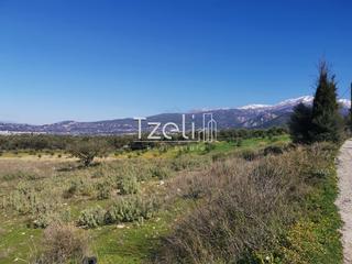 Οικόπεδο 24.000 τ.μ. για πώληση, Αχαΐα, Μεσσατίδα-thumb-13