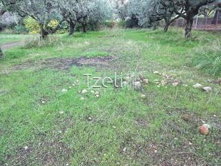 Οικόπεδο 780 τ.μ. για πώληση, Αχαΐα, Πάτρα-thumb-21