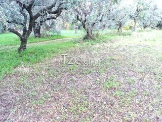 Οικόπεδο 780 τ.μ. για πώληση, Αχαΐα, Πάτρα-thumb-27
