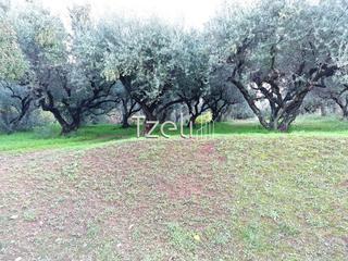 Οικόπεδο 780 τ.μ. για πώληση, Αχαΐα, Πάτρα-thumb-3