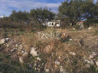 Οικόπεδο 893 τ.μ. για πώληση, Αχαΐα, Μεσσατίδα-thumb-29