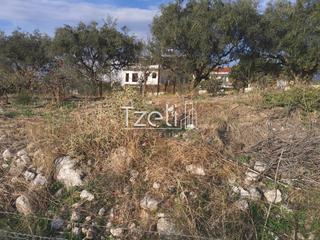 Οικόπεδο 893 τ.μ. για πώληση, Αχαΐα, Μεσσατίδα-thumb-31