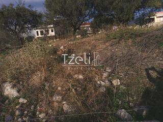 Οικόπεδο 893 τ.μ. για πώληση, Αχαΐα, Μεσσατίδα-thumb-32