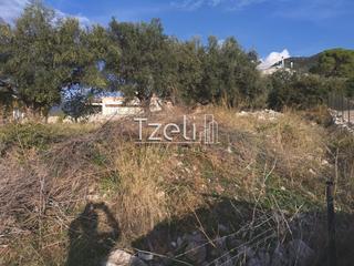Οικόπεδο 893 τ.μ. για πώληση, Αχαΐα, Μεσσατίδα-thumb-2
