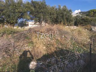 Οικόπεδο 893 τ.μ. για πώληση, Αχαΐα, Μεσσατίδα-thumb-4