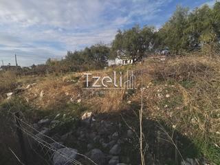 Οικόπεδο 893 τ.μ. για πώληση, Αχαΐα, Μεσσατίδα-thumb-5