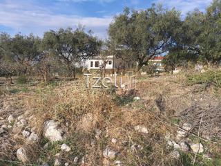 Οικόπεδο 893 τ.μ. για πώληση, Αχαΐα, Μεσσατίδα-thumb-8