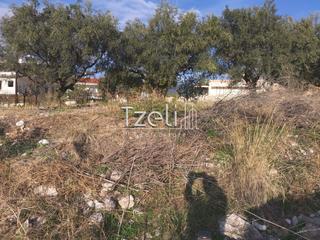 Οικόπεδο 893 τ.μ. για πώληση, Αχαΐα, Μεσσατίδα-thumb-9