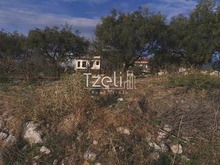 Οικόπεδο 893 τ.μ. για πώληση, Αχαΐα, Μεσσατίδα-thumb-10