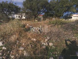 Οικόπεδο 893 τ.μ. για πώληση, Αχαΐα, Μεσσατίδα-thumb-11
