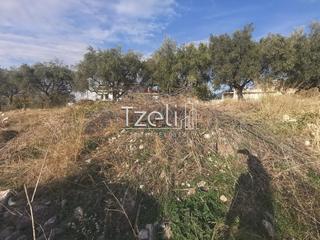 Οικόπεδο 893 τ.μ. για πώληση, Αχαΐα, Μεσσατίδα-thumb-12