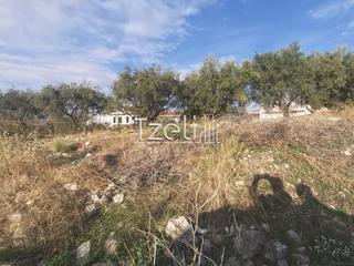 Οικόπεδο 893 τ.μ. για πώληση, Αχαΐα, Μεσσατίδα-thumb-13
