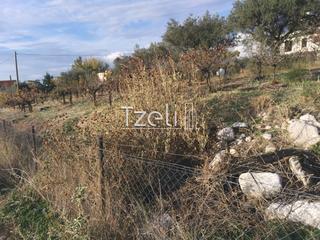 Οικόπεδο 893 τ.μ. για πώληση, Αχαΐα, Μεσσατίδα-thumb-14