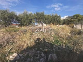Οικόπεδο 893 τ.μ. για πώληση, Αχαΐα, Μεσσατίδα-thumb-15