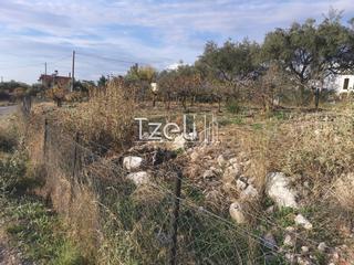 Οικόπεδο 893 τ.μ. για πώληση, Αχαΐα, Μεσσατίδα-thumb-16