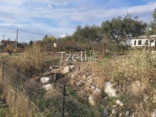 Οικόπεδο 893 τ.μ. για πώληση, Αχαΐα, Μεσσατίδα-thumb-18