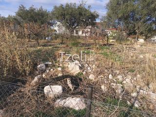 Οικόπεδο 893 τ.μ. για πώληση, Αχαΐα, Μεσσατίδα-thumb-19
