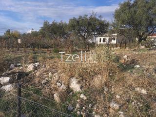 Οικόπεδο 893 τ.μ. για πώληση, Αχαΐα, Μεσσατίδα-thumb-21