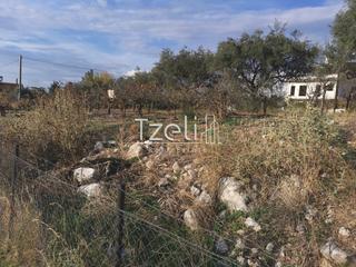 Οικόπεδο 893 τ.μ. για πώληση, Αχαΐα, Μεσσατίδα-thumb-22