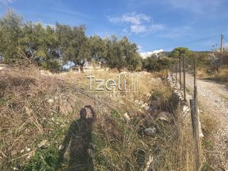 Οικόπεδο 893 τ.μ. για πώληση, Αχαΐα, Μεσσατίδα-thumb-23