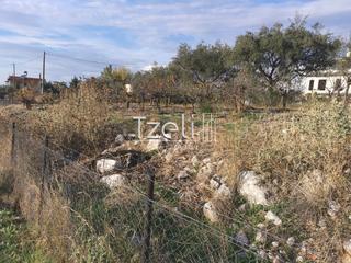 Οικόπεδο 893 τ.μ. για πώληση, Αχαΐα, Μεσσατίδα-thumb-24