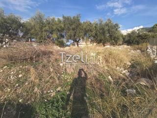 Οικόπεδο 893 τ.μ. για πώληση, Αχαΐα, Μεσσατίδα-thumb-25