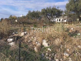 Οικόπεδο 893 τ.μ. για πώληση, Αχαΐα, Μεσσατίδα-thumb-26