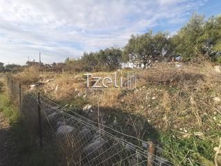Οικόπεδο 893 τ.μ. για πώληση, Αχαΐα, Μεσσατίδα-thumb-27