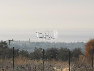 Οικόπεδο 893 τ.μ. για πώληση