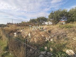 Οικόπεδο 893 τ.μ. για πώληση, Αχαΐα, Μεσσατίδα-thumb-1