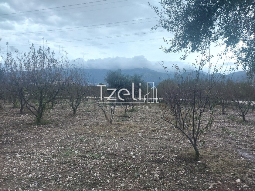 Land plot 423sqm for sale-Patra » Begoulaki