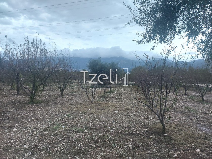 Land plot 423 sqm for sale, Achaia, Patra