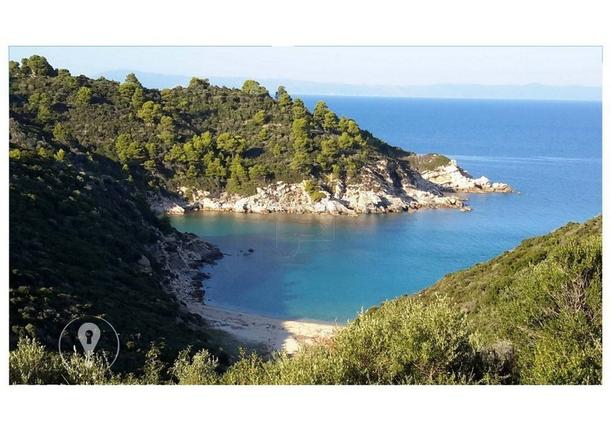 Αγροτεμάχια 25.000 τ.μ. για πώληση, Χαλκιδική, Τορώνη