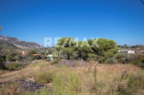 Parcel 4.500sqm for sale-Skiathos » Kalivia