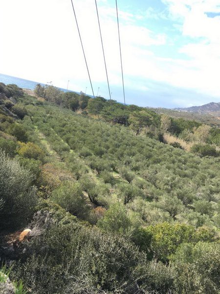 Οικόπεδο 12.000 τ.μ. για πώληση, Ν. Λασιθίου, Μακρύς Γιαλός