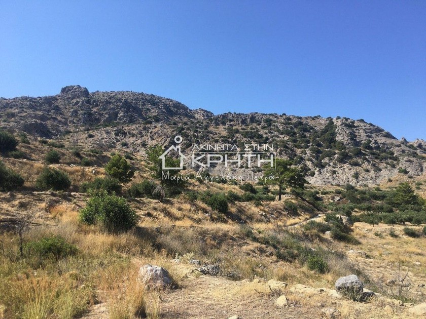 Οικόπεδο 11.000τ.μ. για πώληση-Ιεράπετρα » Ανατολή