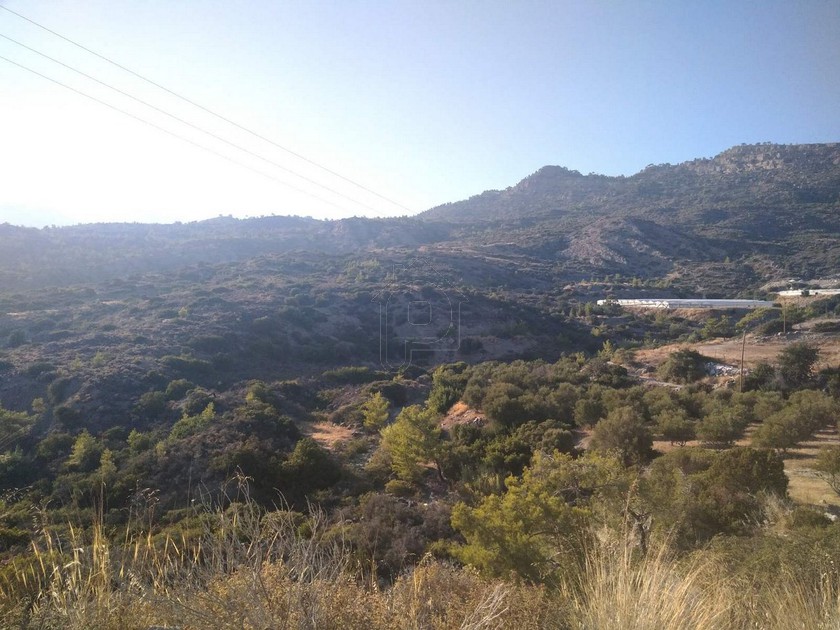 Land plot 42.000sqm for sale-Ierapetra » Gavrilis