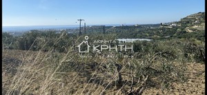 Land plot 5.800sqm for sale-Ierapetra