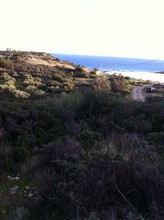 Land plot 10.000sqm for sale-Ierapetra » Kalogeroi