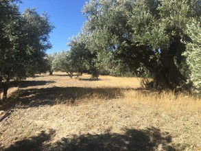 Land plot 1.200sqm for sale-Ierapetra » Makrilia