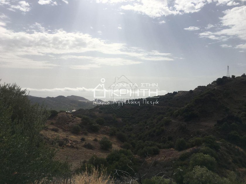 Land plot 10.000sqm for sale-Ierapetra » Mithoi