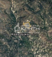 Land plot 80.000sqm for rent-Ierapetra » Kalamavka