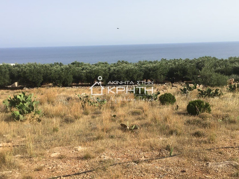 Οικόπεδο 1.000 τ.μ. για πώληση