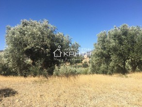 Land plot 40.000sqm for sale-Ierapetra » Makrilia