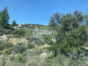 Land plot 13.500sqm for sale-Ierapetra » Anatoli