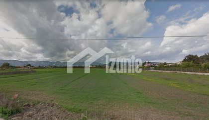 Land plot 6.250 sqm for sale